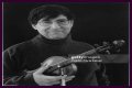 David Shapiro (musician)