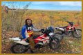 Who is Miles Pfeffer? And Know Some Facts About Miles Pfeffer!!!